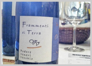 frammenti di terra