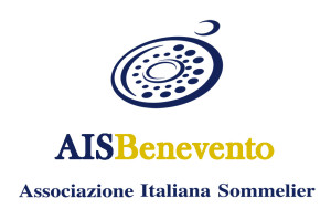 AIS Benevento con sfondo x web