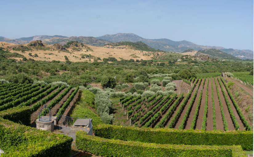 Carranco e Villa dei Baroni: grandi vini e ospitalità, in una dimora storica ai piedi dell’Etna