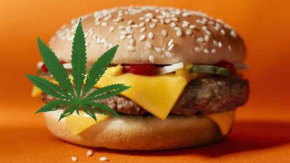 Hamburger del fast food: carne o canne?